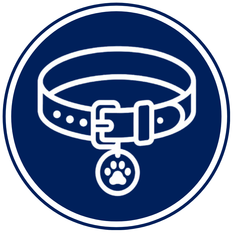 Pet Collars