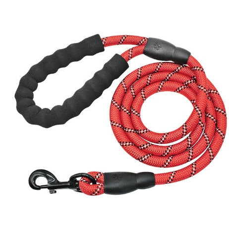 Red dog leash with black handle and clip on a white background
