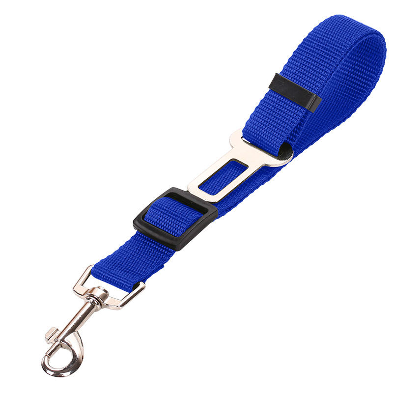 Blue dog leash with metal clip on a white background