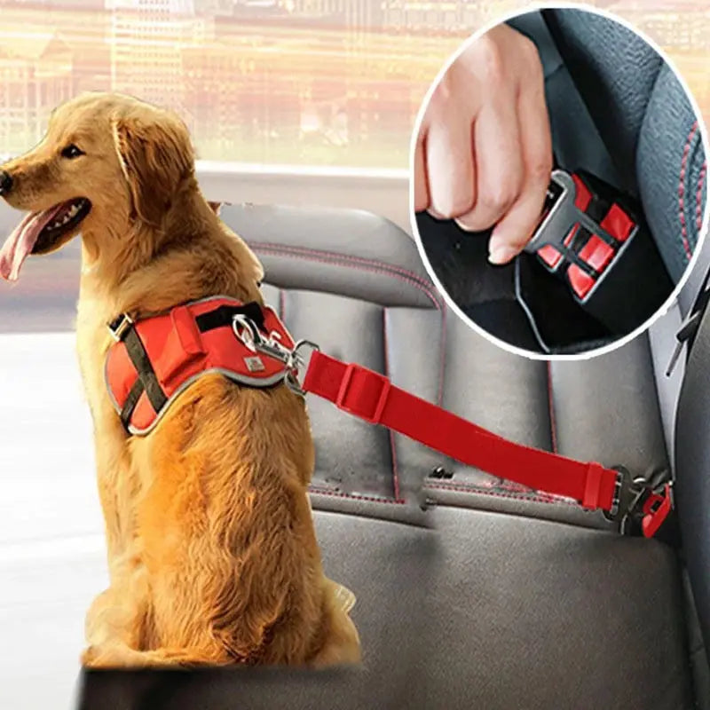 Black adjustable dog car seat belt for safe travel