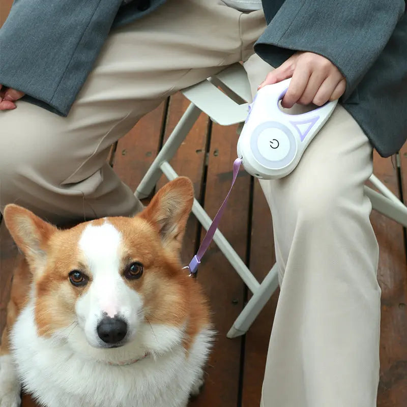 3 meter automatic dog leash for walking