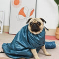 Pug dog wearing a blue coat indoors with a decorative wall in the background