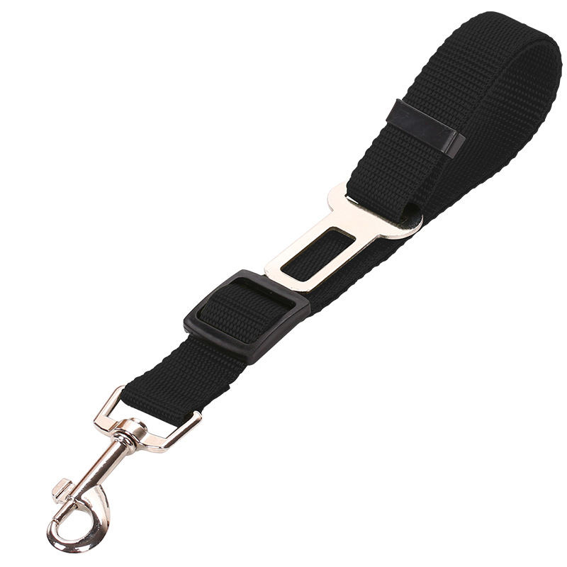 Secure dog seat belt for road trips