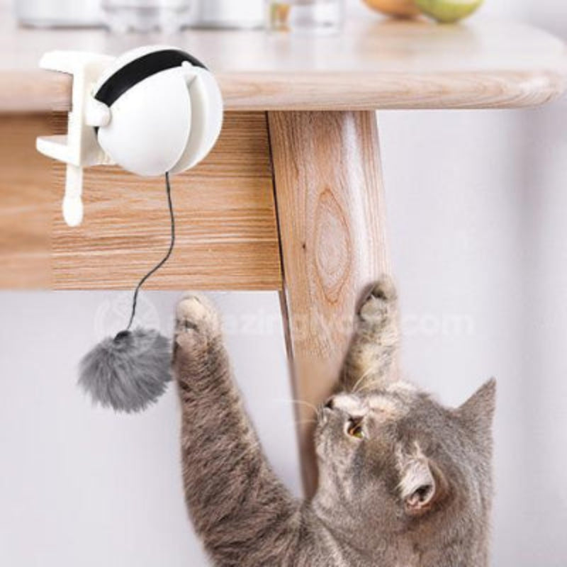 Electronic interactive cat toy with automatic motion