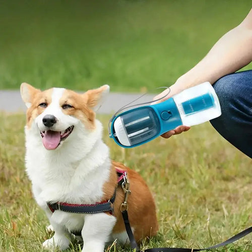 Portable pet water bottle for travel and walking